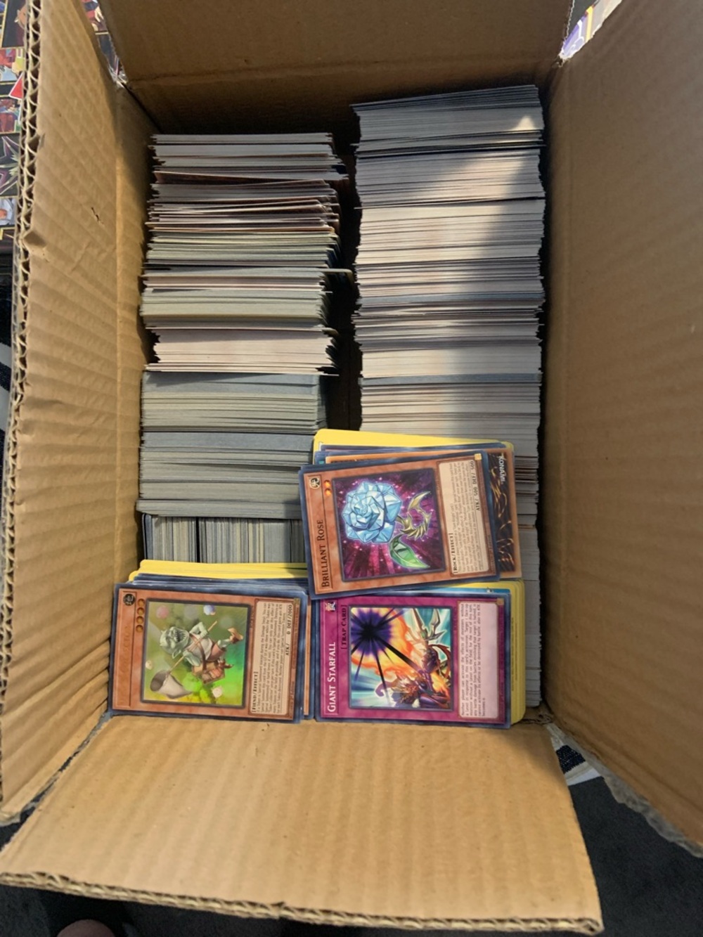 Common YuGiOH and Pokémon Bulk Box